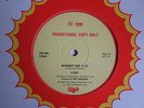 Reggae 70's DJ cuts 12