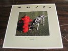 RUSH - SIGNALS NEW WORLD TOUR BOOK 1982  AUTOGRAPHED BY THE BAND