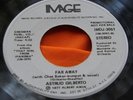 Rare Dance 45: Astrud Gilberto   The Girl From Ipanema   Vince Montata   Image