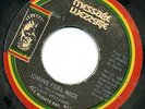 DELROY WILLIAMS - IDRINS FEEL NICE - ROCKERS SELECTIONI LISTEN