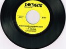 P.P Arnold - Everything gonna be alright /Life is but nothing, vg+Northern soul
