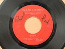 GARAGE GRAIL The VIKINGS I Need Your Lovin'/Such A Love 45 Orig WAM Ohio HEAR