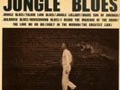 C.W. STONEKING JUNGLE BLUES VINYL LP New