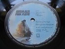 PINK FLOYD ANIMALS HARVEST UK ORIGINAL FIRST SUPERB EX+ GATEFOLD & VINYL & AUDIO