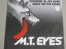 M.T. EYES: Thunder in my ears 7