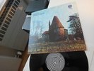 DADDY LONGLEGS - OAKDOWN FARM '71 MINT Vertigo Swirl LP