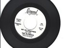 NORTHERN SOUL 45-THE OLYMPICS-WE GO TOGETHER-MIRWOOD-DJ-LISTEN