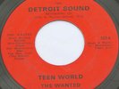 Garage 45 - THE WANTED -  Teen World / Here To Stay - DETROIT SOUND