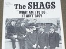60's GARAGE PICTURE SLEEVE Shags What Am I To Do b/w It Ain't Easy Golden Voice