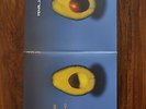 Pearl Jam s/t (Avocado) Vinyl 1st Pressing Us rare