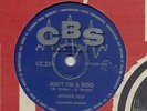 RONNIE SELF    SOUTH AFRICA  78  AIN'T I'M A DOG   NM