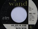  Northern Soul 45 - Walter Wilson - Love Keeps Me Crying - WAND mp3
