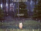 Brand New Daisy (180 Gram LP/Gatefold) Vinyl New