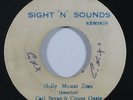 Reggae 45 CARL BRYAN & COUNT OSSIE/KING STITT Holly Mount Zion on Sight N Sounds
