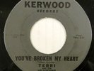 TERRI & VELVETEENS 45 You've Broken My Heart Rare Doo Wop #SP 76