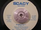Soul/Funk 45 Scacy & The Sound Service - Sunshine pts 1 & 2 SCACY Ex ORIGINAL