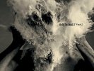 THE AFGHAN WHIGS Do to the beast - LP / Colored Vinyl - Loser Edition + MP3