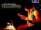 Jimi Hendrix Experience, Live At Monterey, NEW/MINT Vinyl LP RSD 2014