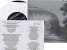 THE MAGNETIC FIELDS The House Of Tomorrow EP #451/800 Feels Good All Over vinyl