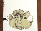 COIL Ape of Naples / The New Backwards vinyl box set