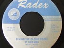 Rare IL Garage 45 THE FROST Behind The Closed Doors Of Her Mind on Radex