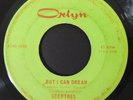 Rare IL Garage Psych 45 SCEPTRES But I Can Dream / Last Time on Orlyn