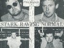 THE BLOOD-Stark Raving Normal(1983 UK Noise label) Classic UK Oi