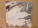 RUDIMENTARY PENI, PUNK LP, ECHOES OF ANGUISH, UK ISSUE, OUTER HIMALAYAN, 1997