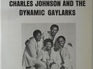 Charles Johnson & Dynamic Gaylarks - Worth It LP - Richburg - Black Gospel VG++