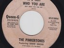 THE PINKERTONES It's Not Who You Are 45 on Queen-G RARE northern soul HEAR
