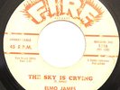 BLUES 45-ELMO JAMES-THE SKY IS CRYING /HELD MY BABY LAST NIGHT on Fire