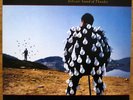 PINK FLOYD - DELICATE SOUND OF THUNDER RARE LIVE 1988 2-LPs - EXC CONDITION