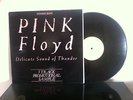 Pink Floyd ?– Delicate Sound Of Thunder (3 Track Promotional Sample)