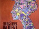 STRING CHEESE INCIDENT, The - A Song In My Head - Vinyl (2xLP)