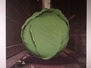 METERS, The - Cabbage Alley - 180 gram vinyl LP