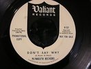PLYMOUTH ROCKERS Valiant Promo Don't Say Why/ Walk... Psych Garage Fuzz 45