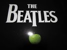 SEALED = THE BEATLES - 16 LP BOX SET + 252 PG BOOK AUDIOPHILE LTD ED = 224 SONGS