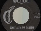 SONNY ACE & TWISTERS Wooleh Booleh TEX MEX GARAGE ROCKER *hear*