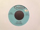 THE MOHAWKS The Champ on Cotillion Mod Funk 45 Hear