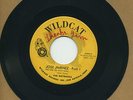THE WETBACKS   Jose Jimenez   sleazy/tittyshaker/garage/popcorn R&B 45 WILDCAT $