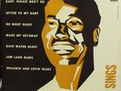 BIG BILL BROONZY SINGS PERIOD VG+ 150.00