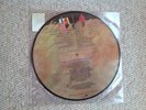 The Kinks  Are the Village Green Preservation Society vinyl LP Picture Disc