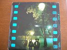 LP 33T LITTLE FREE ROCK / REF : TRA 208
