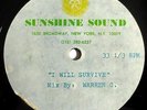* WARREN G Survive Acetate Remix 12:10 RARE DISCO BREAKS 12