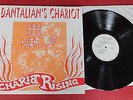 Dantalian's Chariot - Chariot Rising Tenth Planet 1995 LP  318/1000 Zoot Money