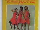 Wild Honey 