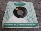 Vintage Garage Surf 45 The Bird By The Flames Cuca Studios Wisconsin RockAbilly