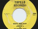 Rare Rockabilly 45 - Charles K & Southern Winds - Right Bird Baby -Tupelo # 2984