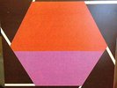 WHITE FENCE - FAMILY PERFUME VOL. 1 LP Rare Ty Segall Thee Oh Sees Woodsist