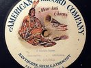 AMERICAN RECORD COMPANY ORCHESTRA Hunting Scene Descriptive 031064 Blue Disc 78